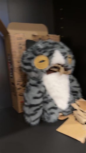 ✝️🛐 (@mr.editordude)’s videos with original sound - DailyCatVlog