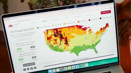 How to find the most beautiful leaf colors with fall foliage maps