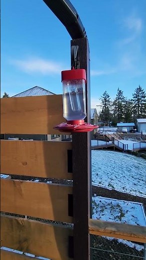 Large Hummingbird Feeders