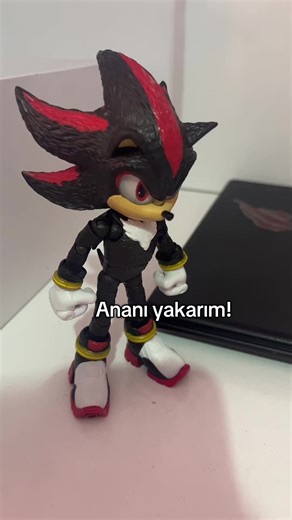 Sonic ve Shadow ile Eğlenceli Anlar