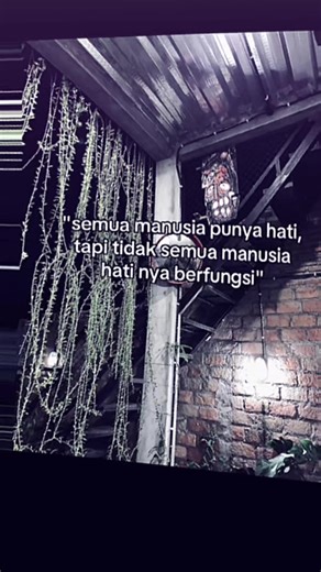 Order apk bug,script bug ke bio/dm 🤤😋 #bugwa #bugwhatsapp #fypシ゚ #fyppppppppppppppppppppppp #fyp