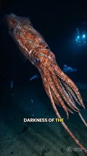 What eats a Giant Squid?😱