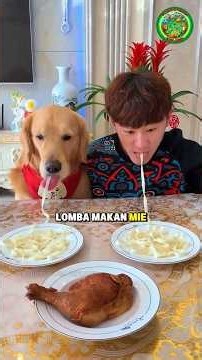 This Dog Is The Smartest In The World 🐕♥️