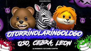 75K views · 1.1K reactions | Otorrinolaringologo  Guaracha Remix - Dj Roderick x Dj Camilo Santos (Oso, Cebra, Leon) | Dj Roderick | Facebook
