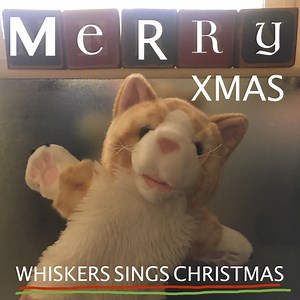 Jingle Bells (Meow meow Meow) - Mr Whiskers: Song Lyrics, Music Videos & Concerts