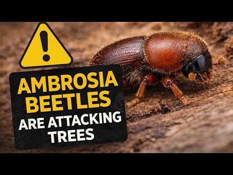 This Pest Shows Up After Every Freeze (And Most Growers Miss It)