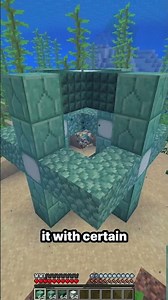 The Most USEFUL Block in Minecraft