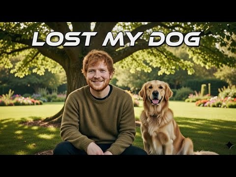 Ed Sheeran Style - LOST MY DOG |New Music Video | 2026