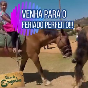 4.4K reactions · 959 shares | Venha curtir feriado perfeito com sua...
