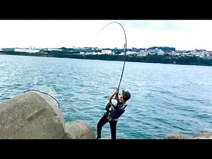 根に突っ込むヤツを強引にぶち抜くと… 【フカセ釣り 沖縄釣り okinawa fishing 】