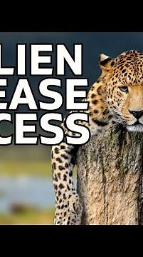 SBA UCC Lien Release Process is a NIGHTMARE