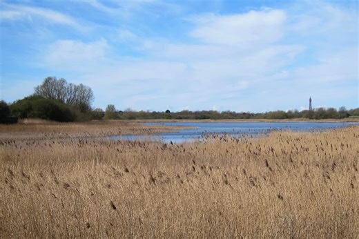 Marton Mere Nature Reserve and Stanley Park among green areas set for investment