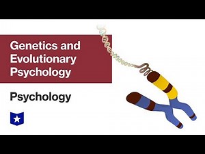 Genetics and Evolutionary Psychology | Psychology