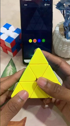 Pyraminx Cube Solved By Using App 🙂|#rubikscube#shorts#viral