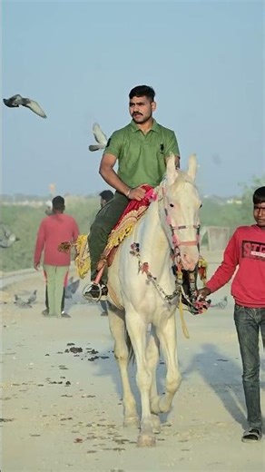 bo bhi apne na hue #songstatus ##viralvideo #trendingvideo #trendingsong #travel