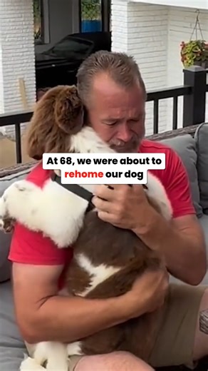 The thing all dog parents should know about dog's peeing indoor…. and an easy way to help. | TheraPet | Facebook