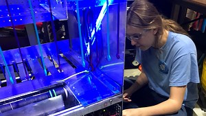 Regional robotics competition kicks off in Knoxville