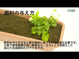 プランター菜園のポイント【カインズHOWTO】