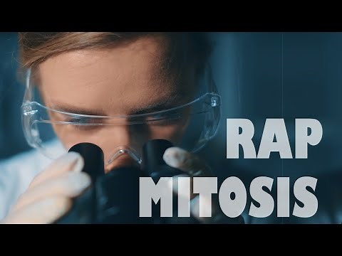 Mitosis - Medical Rap - Educational Rap