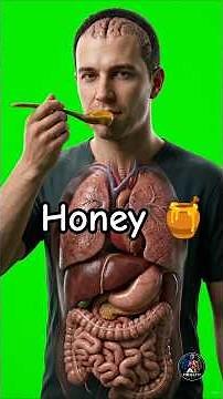 🍯 What Happens Inside Your Body 30 Minutes After Eating Honey? | Shocking 3D Medical Animation