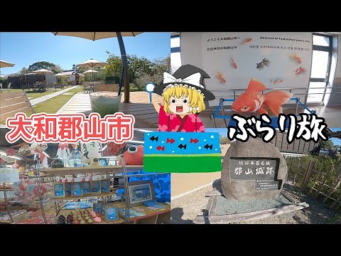 [Nara Wandering Trip] Head to Yamatokoriyama City, the town of goldfish and castles! Outer Moat G...