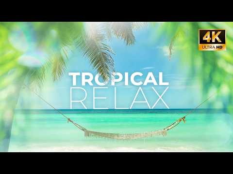 Relaxing Nature Video 🏝️ 8 Hours Tropical Beach & Soothing Ocean Waves - Nature Background 4K