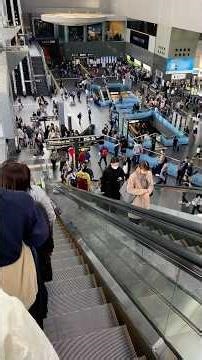 ※我孫子駅を利用する方は見ないでください。人身事故と餓死者の奇妙な一致。☢️