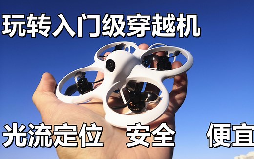 【Yang_FPV】零基础就会飞，一个视频教你玩转飞鲸PRO，BETAFPV CETUS PRO