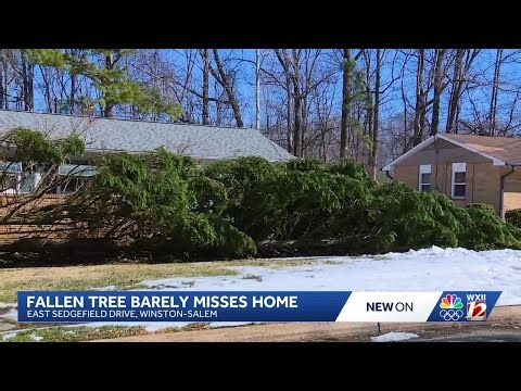 Triad woman thankful after tree narrowly misses her E. Sedgefield house and vehicle