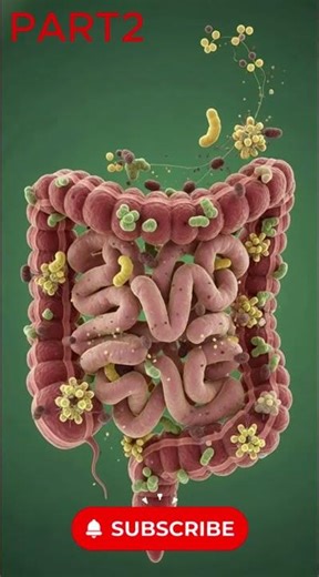 2️⃣ This Is What Chocolate Does Inside a Child’s Body (3D Animation)