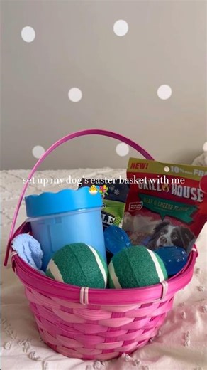 set up my dogs Easter basket with me