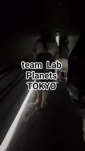 東京・豊洲の「チームラボプラネッツ」は、裸足で水に入り花と一体化する超巨大な没入型ミュージアムです。光や鏡、デジタルアートが織りなす幻想的な空間を、五感を使って全身で体験できます。