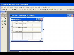Creating Visual Basic 6 0 Reports