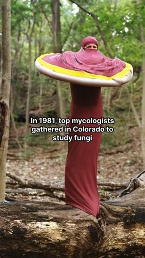 The Mushroom Festival Story #artwork #artshorts #art #performance