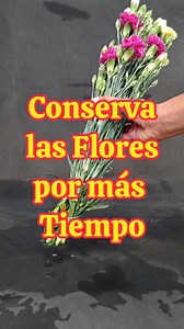 2M views · 14K reactions | Cómo conservar las flores frescas por más tiempo. #tutorial #Hogar #flores #decotianguis | Comunidad Deco Tianguis | Facebook
