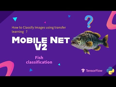 How To Actually Fine-Tune MobileNetV2 | Classify 9 Fish Species
