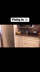 2.3K views · 184 reactions | Dead Fish is always funny #dead #fish #baddad | Stu Schwartz | Facebook