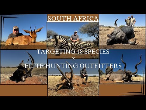 Hunting 18 Species in a week | South Africa | Elite Hunting Outfitters