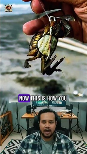 Perfect Crab Bait Rig for Saltwater Fishing 🦀🎣