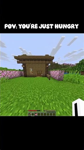 Minecraft pig moment