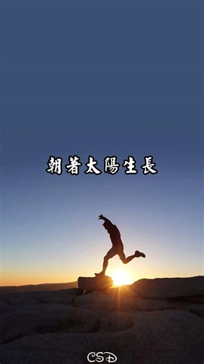 早安！不求驚艷時光，但願溫潤歲月 #早安祝福 #每日祝福 #Shorts #早安 #GoodMorning #早安圖 #早安問候 #人生感悟 #正能量