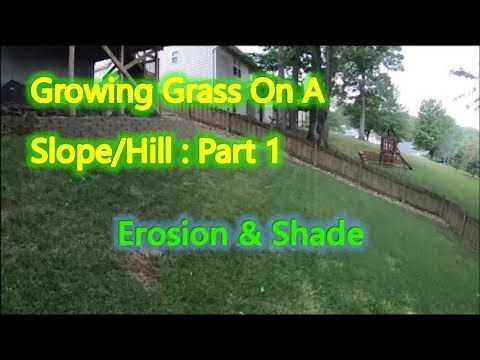 How to Grow Grass on a Steep Shaded Slope/Hill - Part 1