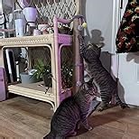 36 Inch Tall Cat Scratching Post – Sisal Cat Scratcher for Indoor Cats, Large Vertical Scratch Post, Sturdy Cat Scratch Pole Tower, Modern Cat Furniture for Kittens & Adults (Beige)