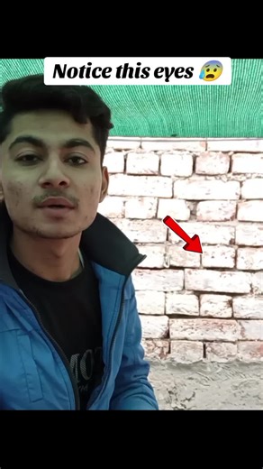 Captivating Bird Eyes: A Nature Lover's Delight