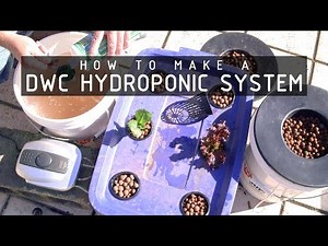 How To Make a Deep Water Culture (DWC) Hydroponics System: Cannabasics #105