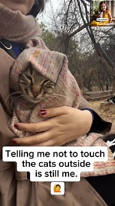 The first story that my mother told me was the story of a cat that I was saving in the rain. It was like that I would put it in a cardboard box and bring it to our house, then I would spread it next to the heater until it was dry at night. The next day, the mother cat would come to pick him up and take him away... Do you remember mom!? You said it to me a thousand times every night and I still wanted you to praise it again. | cats addicted