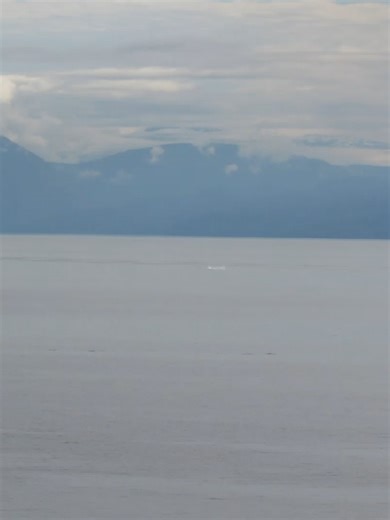 Ruby Princess Cruise: Alaskan Wonders and Scenic Views