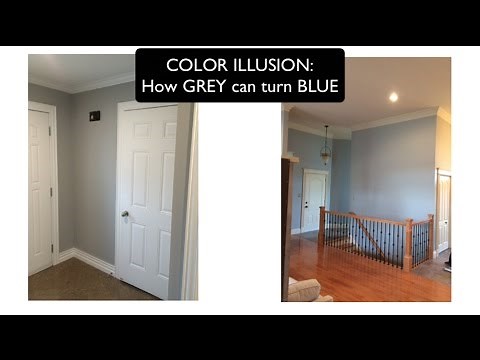 COLOR ILLUSION - How GREY can turn BLUE