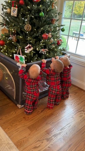 2.1M views · 15K reactions | How to protect your Tree from Triplets!  Keeping your kids away from a tree is impossible, but this is a perfect way to protect the kids and the tree! | Flom Triplets | Facebook