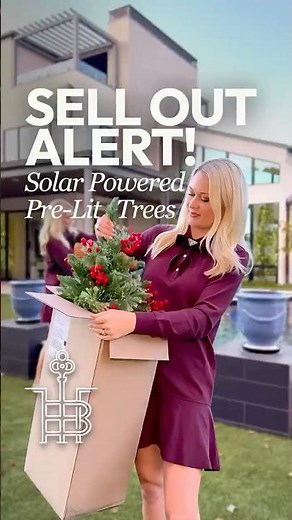 Amazon’s Prettiest Secret for the Holidays ✨ (Solar!)